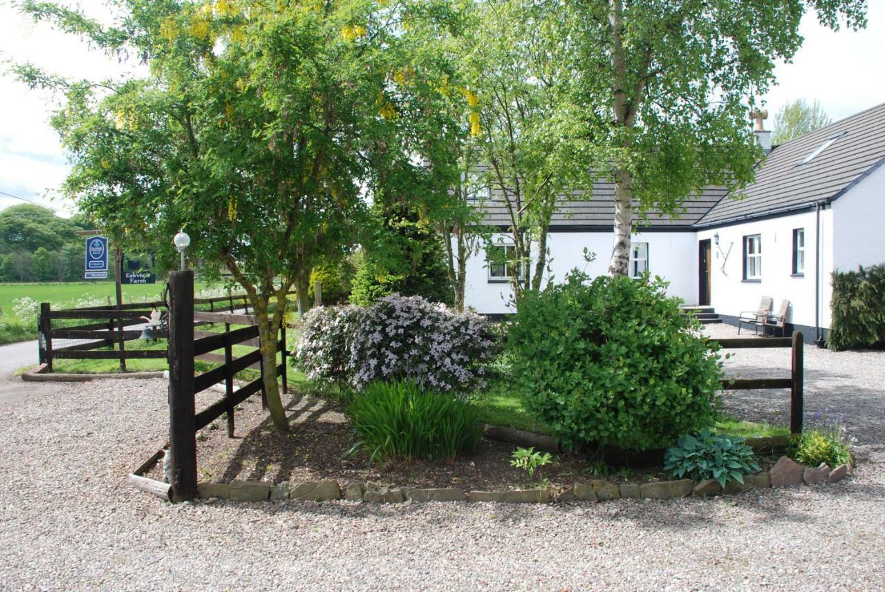 Eskview Farm Bed and Breakfast Montrose Buitenkant foto