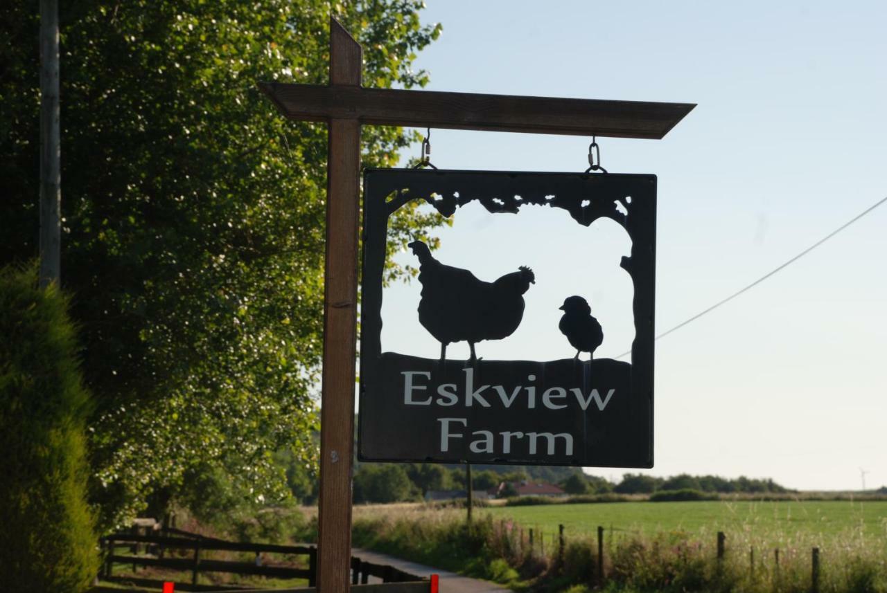 Eskview Farm Bed and Breakfast Montrose Buitenkant foto